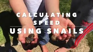 How to measure speed, using snails!