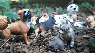 The Moonshade Pack (part 2 FINAL) Rise of The Runaways A Schleich Wolf/Dog movie