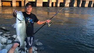 Striper Fishing | Tennessee