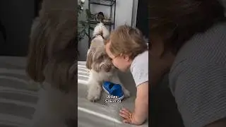 What do you think of this dog growling at the baby?