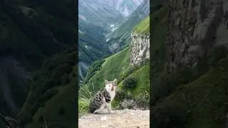 Казбеги это?
