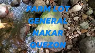6 HECTARES, 250/SQM, FARM LOT FOR SALE WITH RIVER, TITLED, GEN. NAKAR, QUEZON  (PART 2) # 903