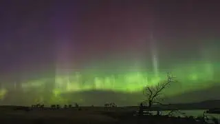 Vibrant Aurora Australis Seen Across Tasmanian Sky