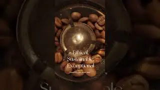 From Bean to Cup: The Journey of Handpicked Coffee Beans | Artisan Roasting with Love #coffee #food
