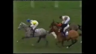 1981 Scilly Isles Novices' Chase