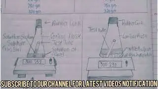 9 th Science Journal Experiment No 3 and 4 With Answers