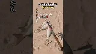 Ranking Most Epic Videos 😎 #epic #best