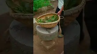 Top Chinese Artisan Reveals Secrets of Dǒul&igrave; Bamboo Hat Making