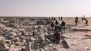 Salt Caravan