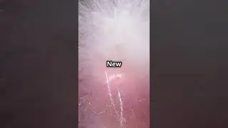 Epic New Year's Eve 2025 Celebrations! #shorts