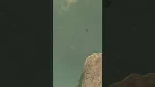 day 84 of learning botw glitches before tears of the kingdom releases
