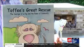 &lsquo;Toffee&rsquo;s Great Rescue&rsquo;: Huntsville man publishes children&rsquo;s book on 2018 rescue of blind, deaf p...