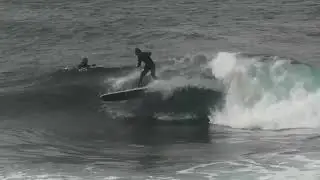 whalebone drop
