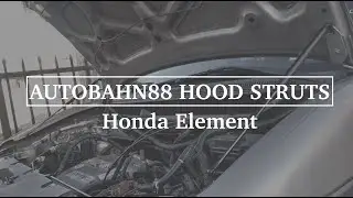 AUTOBAHN88 HOOD STRUTS || HONDA ELEMENT