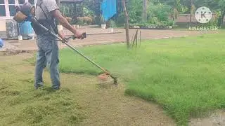 Rhimo khi Aso s vlogs