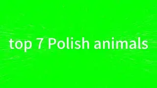 top 7 Polish animals