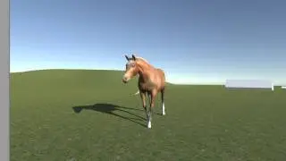 Horse Motion - Unity Update