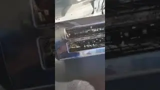 mouse in toaster, no cleaning by Serco, Australian Border Force