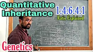 GENETICS| Quantitative Inheritance| Polygenic Inheritance| Problem Solving Strategies