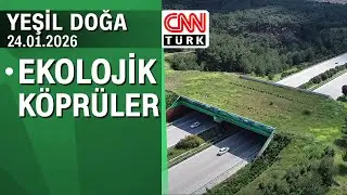 Ekolojik köprülerin önemi - Yeşil Doğa 24.01.2026 Cumartesi