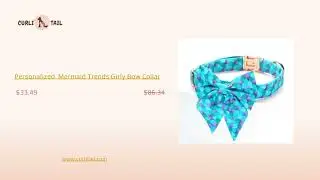 Shop For The Best Pet Accessories Online | CurliTail