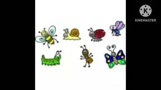 Bee Snail Ladybug Mosquito Caterpillar Ant Butterfly