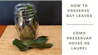 How to preserve bay leaves - C&oacute;mo preservar hojas de laurel