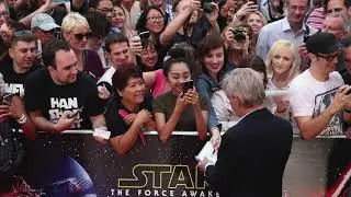TED Website Premiere Vid