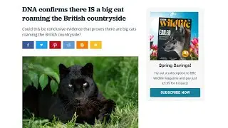 DNA Evidence Confirms Big Cats in the UK