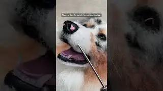 Special portrait of two Aussies