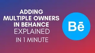 How To Add Multiple Owners In Behance? (2024)