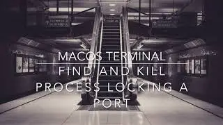 macOS Terminal - Find and stop a process locking a port