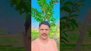 Shourt video #Tera chal baley baley #anvi angel video