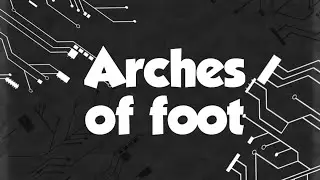 Arches of Foot Explained | Simple & Clear Anatomy for MBBS 1st Year #anatomy #lowerlimb#archesoffoot