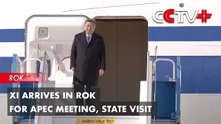 Update: Xi Arrives in ROK for APEC Meeting, State Visit