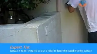 Cleaning Mould From an Exterior Wall - Sunshine Super Clean, Sunshine Coast QLD
