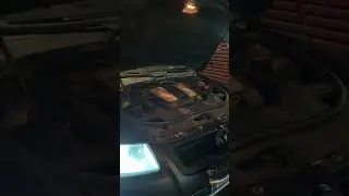 VW Touareg 5.0 V10 TDI start up sound