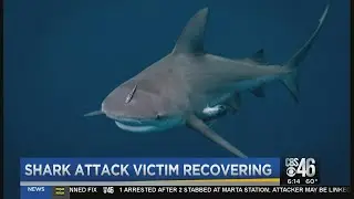 Atlanta man recovers after shark attack in Florida Keys