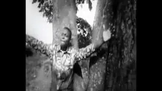 FR CELE MIZUA - DESTIN