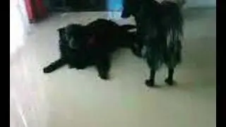 mina et manon qui joue