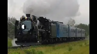 Jnr c58 239 (blot) whistle