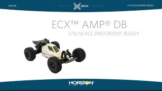ECX 1/10 AMP DB 2WD Desert Buggy RTR