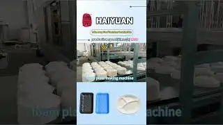PS foam plate dish take away food container box machine foam tray polystyrene dish production line