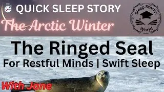 The Ringed Seal | Arctic Winter | With Jane | Quick Sleep Story