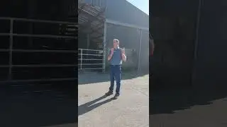 Ballykeefe Distillery #6/30