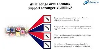 What Content Formats Perform Best for Social Media Optimization?