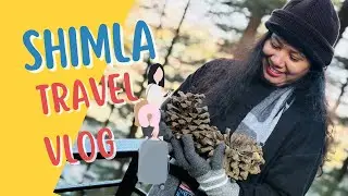 2026 ലെ ആദ്യയാത്ര ഷിംലക്ക് 👜| Shimla travel vlog |keep it short & sweet👈
