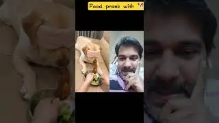 Food Prank with🐕 #duet #dontlaught #funnypets #funny #petvideos #cat #funnyanimals #comedy#dog#dogs