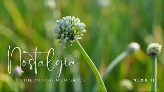 Nostalgia | Back to Childhood with Village Fruits | Village Life #vlog 11
