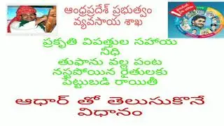 How to download input subsidy status